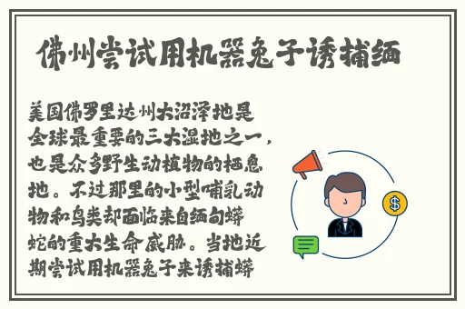 暴躁老外玩csgo